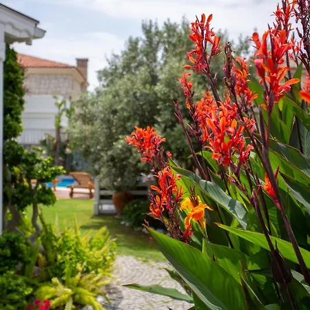 Kokopelli Bed & Breakfast