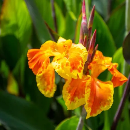 Kokopelli Frühstückspension 4*