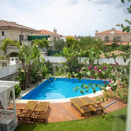 阿拉恰特科科佩利住宿加早餐旅馆