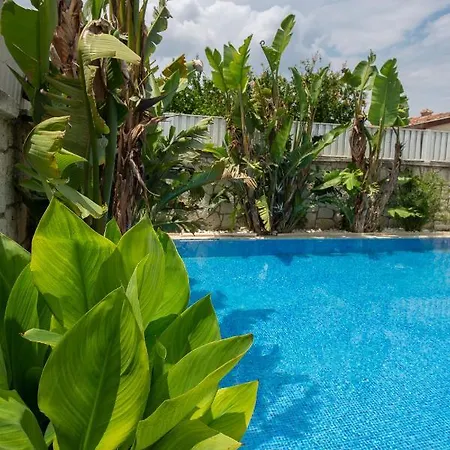 阿拉恰特科科佩利住宿加早餐旅馆