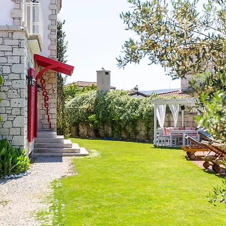 阿拉恰特科科佩利住宿加早餐旅馆 4*