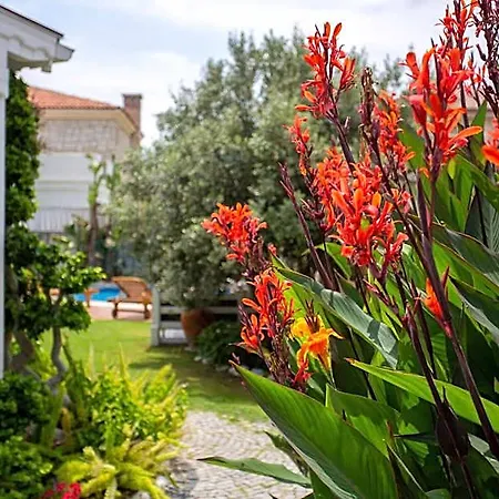Kokopelli Bed & Breakfast