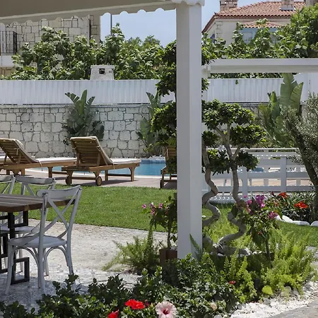 住宿加早餐酒店 阿拉恰特科科佩利住宿加早餐旅馆 4*