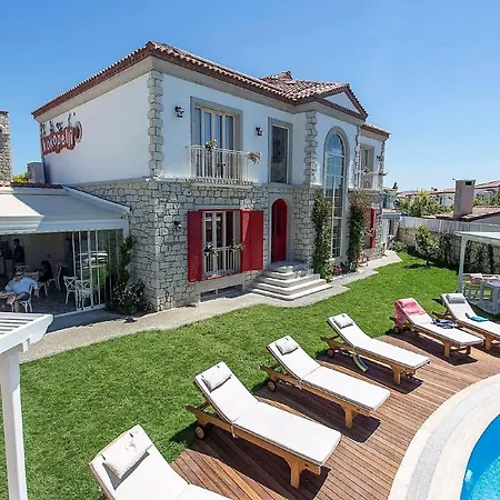 阿拉恰特科科佩利住宿加早餐旅馆